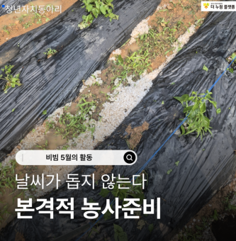 비빔 5월 활동[2,3,4회차]
