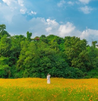 인터프레임 11월 활동보고
