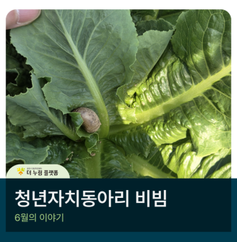 비빔 6월 활동보고] 비빔's coming