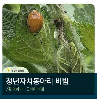[비빔] 7월의 마무리 '굿바이 비빔'