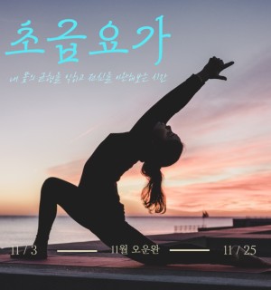 <초급요가> 11월 오운완
