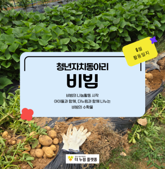 비빔 6월의 활동